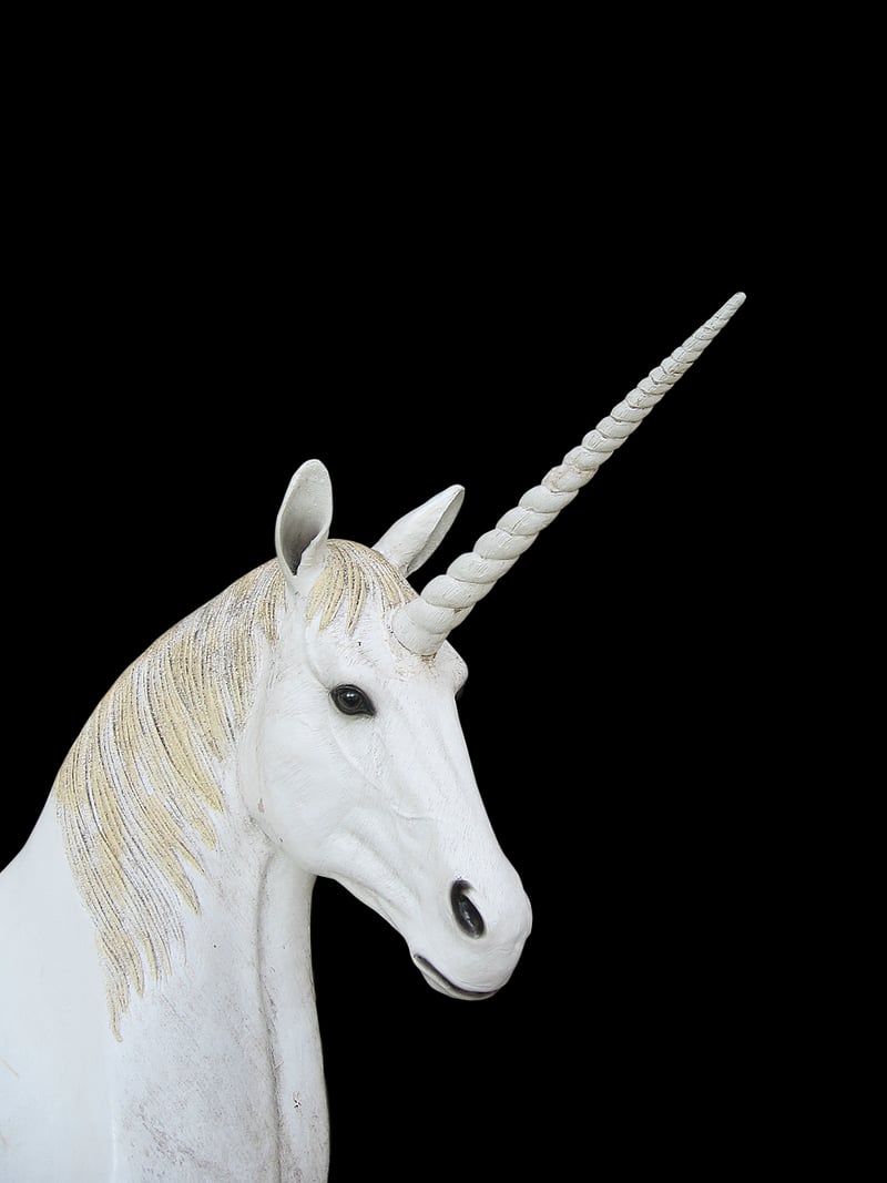 Unicorn Guardians